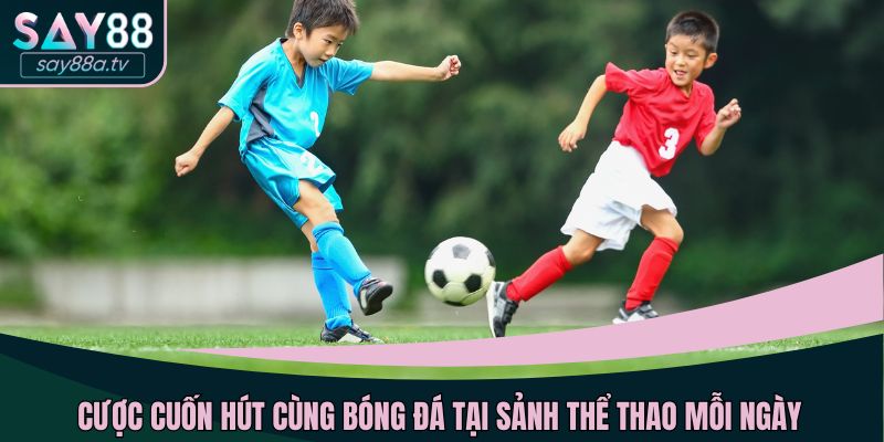 Cược cuốn hút cùng bóng đá tại sảnh thể thao mỗi ngày