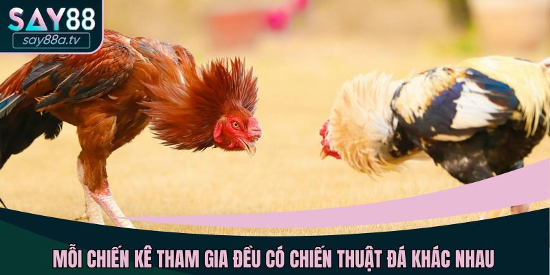 Mỗi chiến kê tham gia đều có chiến thuật đá khác nhau