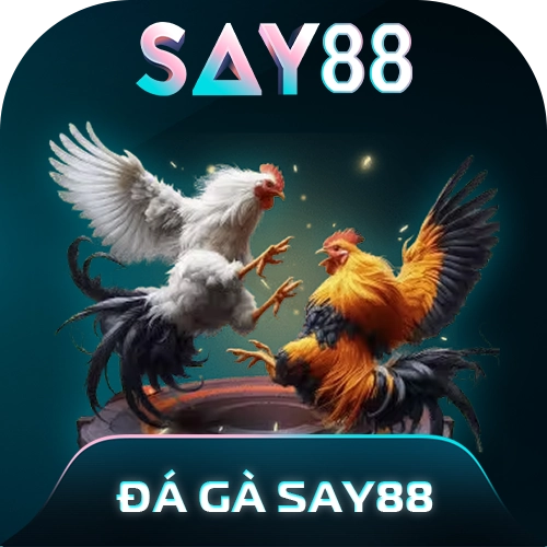 Đá gà say88