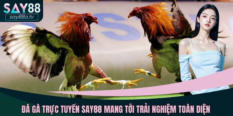 Đá gà trực tuyến SAY88 mang tới trải nghiệm toàn diện