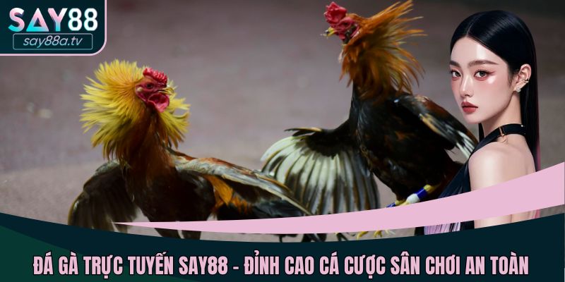 Đá gà trực tuyến SAY88