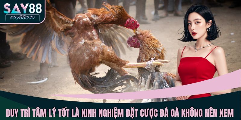 Duy trì tâm lý tốt là kinh nghiệm đặt cược đá gà không nên xem nhẹ