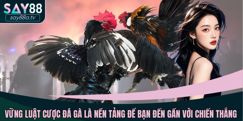 Vững luật cược đá gà là nền tảng để bạn đến gần với chiến thắng