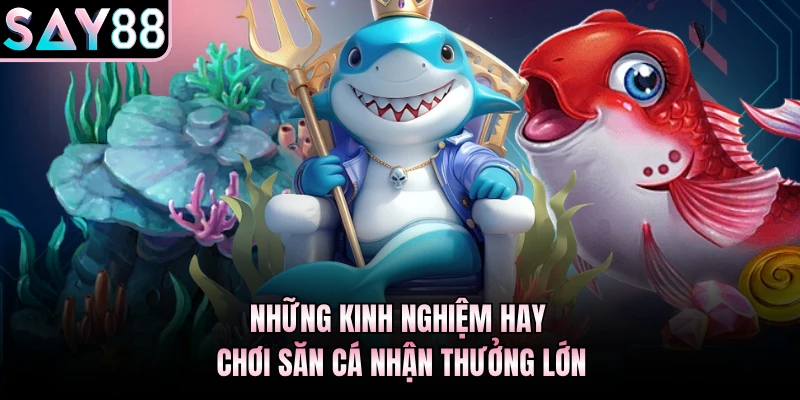 Những kinh nghiệm hay chơi săn cá nhận thưởng lớn